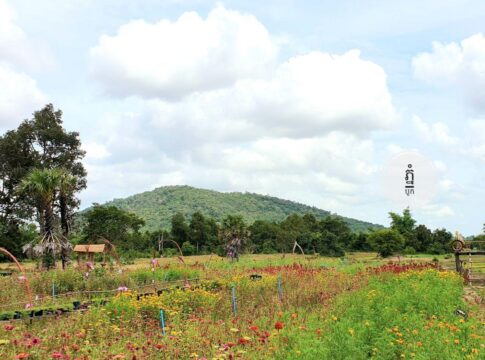 តោះទៅលេងភ្នំបូក