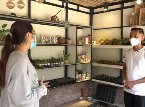 អប្សរាពីជ្រុងមួយ៖ ដំណាំប្រទាន ផ្តល់អត្ថប្រយោគន៍ជាច្រើន ដល់សុខភាព និងបរិស្ថាន (មានវីដេអូរ)