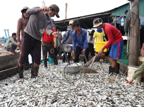 រដ្ឋបាលជលផលបានជូនដំណឹងដល់ពលរដ្ឋដែល មានបំណងដូចជា ការធ្វើប្រហុក ផ្អក ឬត្រីឆ្អើសូមប្រញាប់រួសរាន់