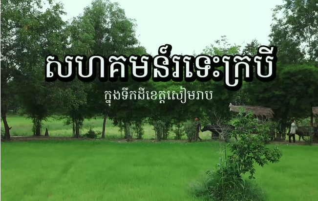 សហគមន៍រទេះក្របី ខេត្តសៀមរាប
