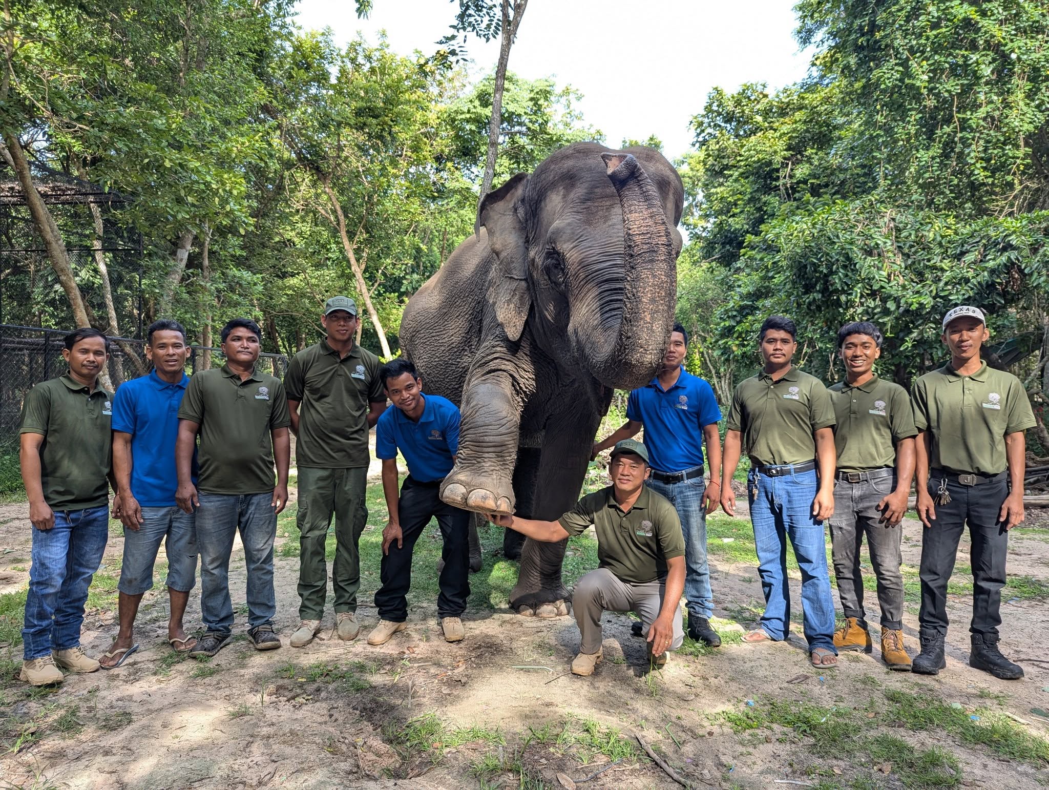 ដំរី Lucky បង្ហាញភាពឈឺចាប់ ក្តុកក្តួល នៃការបាត់បង់ហ្មរបស់ខ្លួន គឺលោក ទ្រី ស៊ីថេង ដែលបានលាឈប់ពីការងារនៅសួនសត្វភ្នំតាម៉ៅ