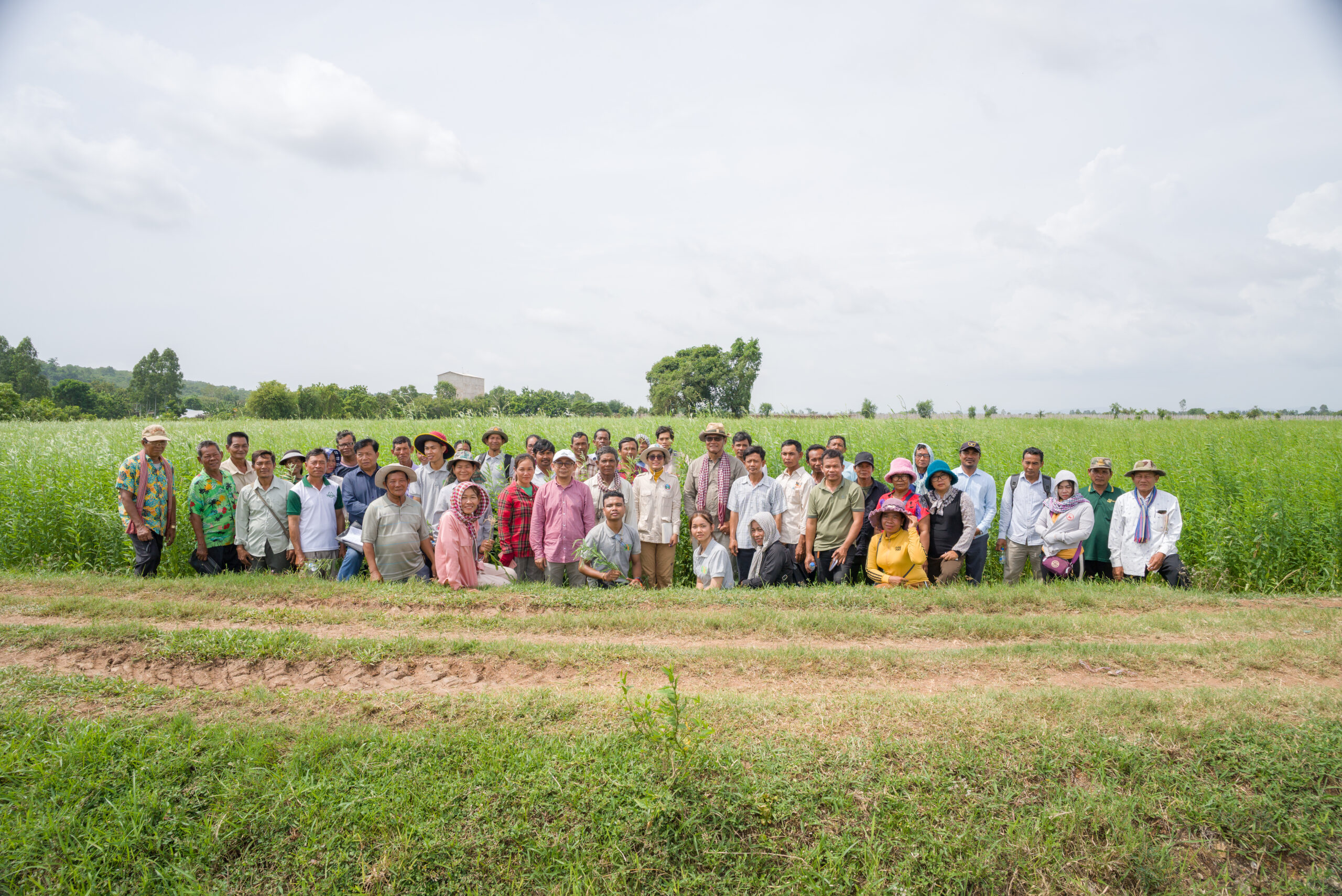 កសិករខ្មែរឈានទៅរកកសិកម្មប្រកបដោយនិរន្តរភាពជាមួយការដាំដំណាំគម្របដីក្រោមការគាំទ្រពីក្រុមហ៊ុន ហ៊ិននីគែន ខេមបូឌា និងអង្គការ CIRD