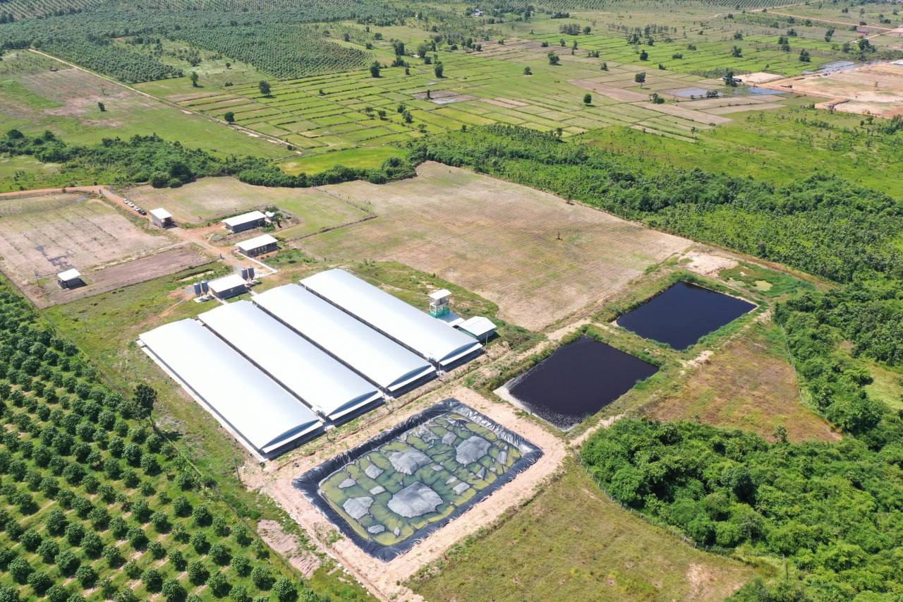 កសិដ្ឋានចិញ្ចឹមជ្រូក ៥ទីតាំងនៅក្នុងស្រុកជុំគីរី ត្រូវបានមន្រ្តីក្រសួងបរិស្ថានចុះពិនិត្យ និង ចាត់វិធានការច្បាប់ទប់ស្កាត់លើការបញ្ចេញទឹកកខ្វក់ប៉ះពាល់បរិស្ថាន
