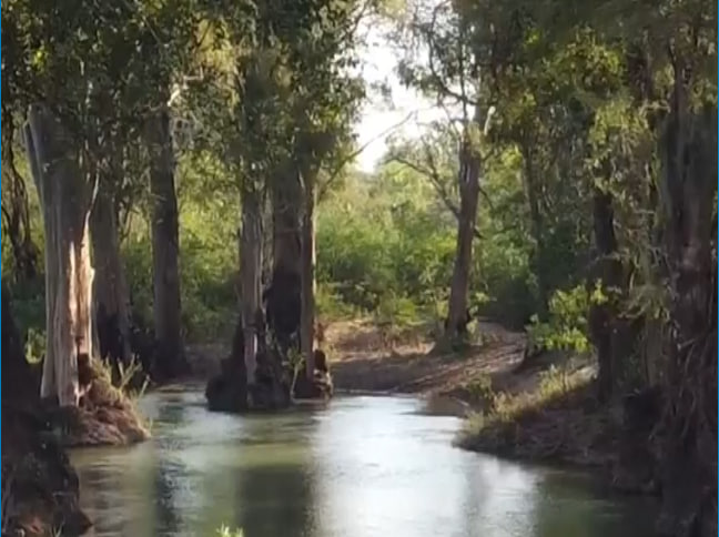 កោះព្រហ្មចារី ខេត្តក្រចេះ