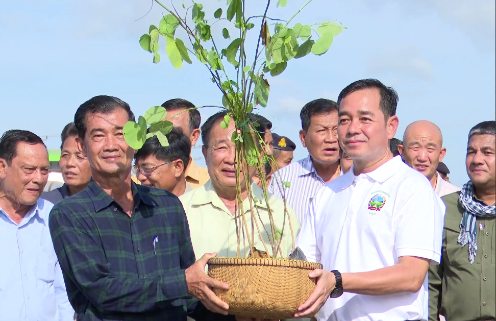 ក្រសួងសាធារណការ និងអាជ្ញាធរខេត្តកំពង់ចាមបើកយុទ្ធនាការដាំដើមជើងគោ អមសងខាងបណ្តោយផ្លូវជាតិ​លេខ៧នៅស្រុកព្រៃឈរ និងស្រុកជើងព្រៃ